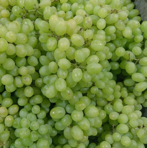 水果|对女人最好的水果,每天当零食吃几颗,淡化皱纹,肌肤更细滑水嫩