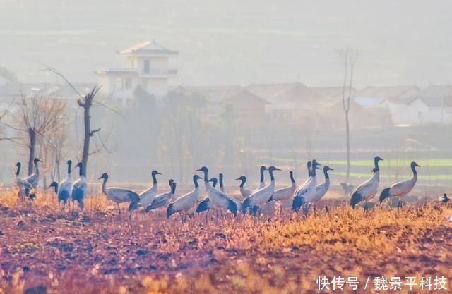 适合一个人去的18个地方，2020年欠自己的旅行，就这样安排吧