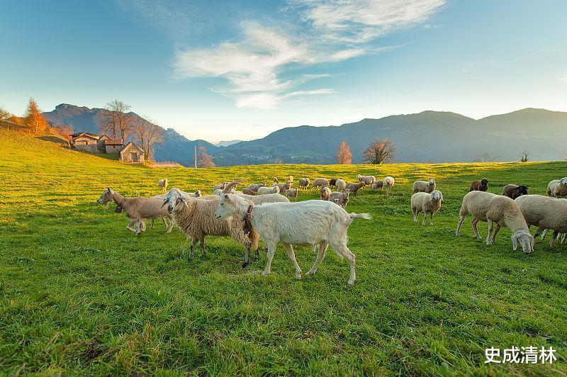 双喜临|生肖羊人,9月双喜临门,大富大贵,升官发财
