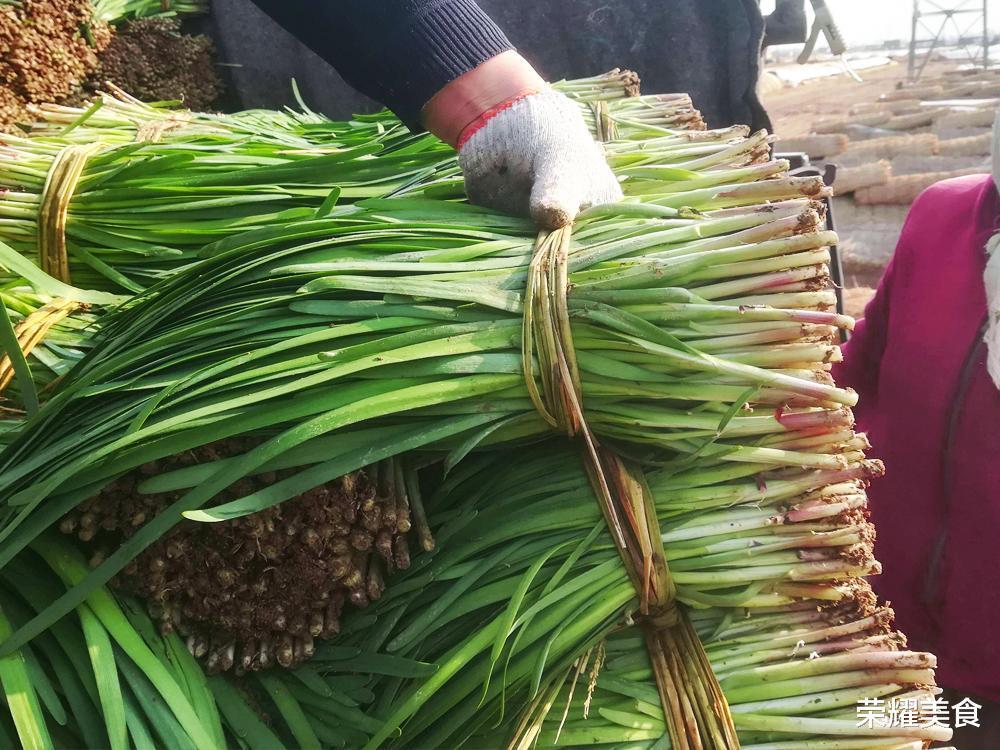 买韭菜时，到底是买细叶还是宽叶，记住这口诀，别再瞎买了
