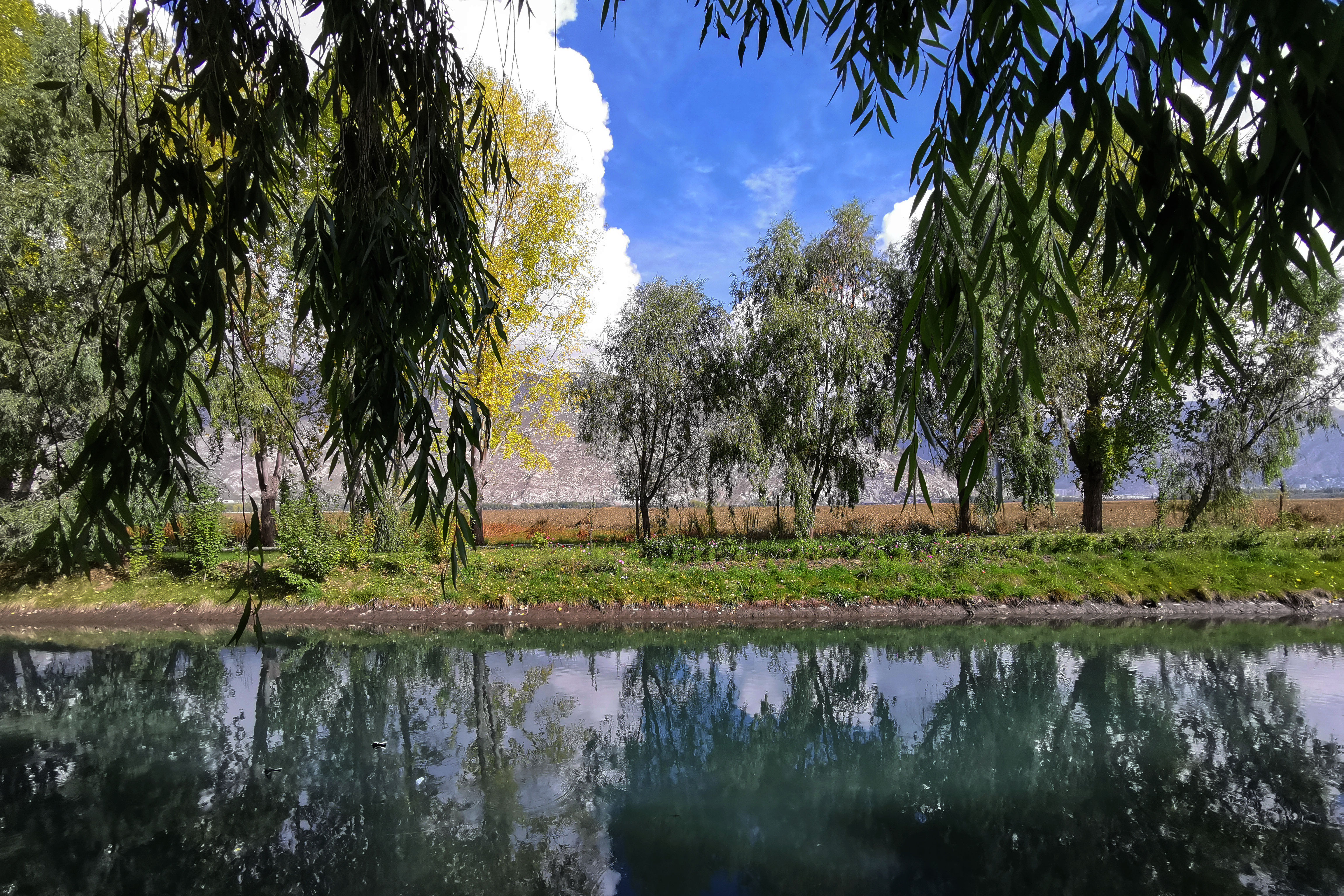 大昭寺|【80天单人单车环藏之旅】观览佛教圣地大昭寺，八廓街猎摄盛装美女