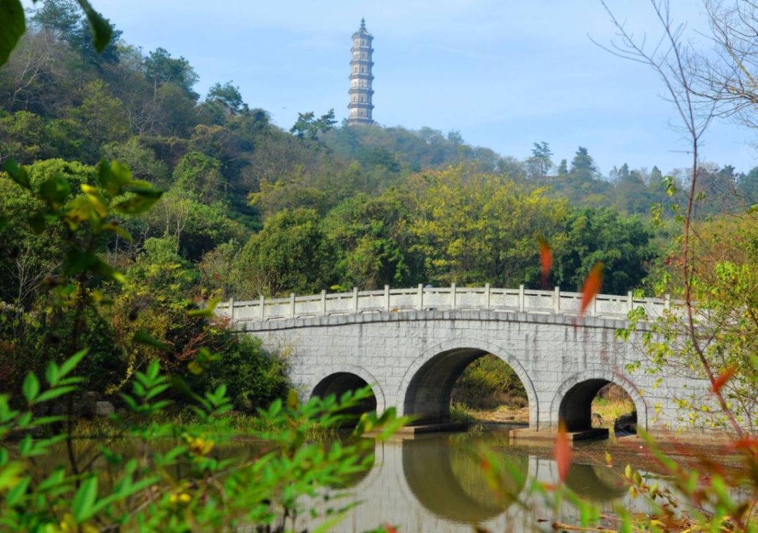 姥山岛|风景这边独好！2021年巢湖姥山岛美景美图欣赏！