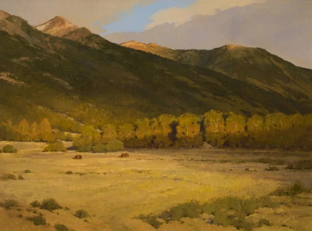 德克萨斯州#大卫·格里芬的风景油画高清图,放大看,更迷人