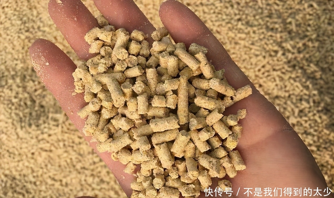 鸡饲料这样用,小鱼不闹,发窝更快