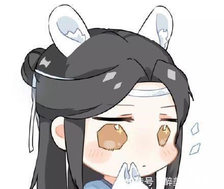 可惜|魔道祖师把自己活成所爱之人,蓝忘机如此,薛洋亦是如此