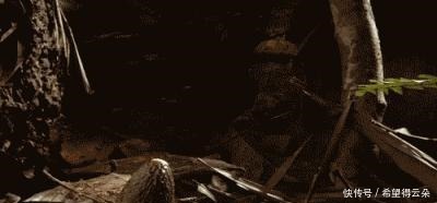  冬日，细火慢炖好时光