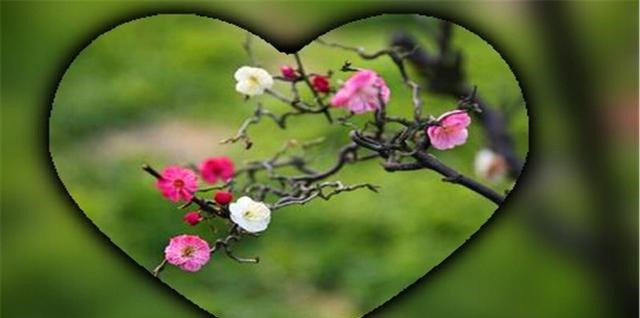 毛滂$此人的诗词,连苏轼都称赞不已,宋词的美,您可曾细细品读过!