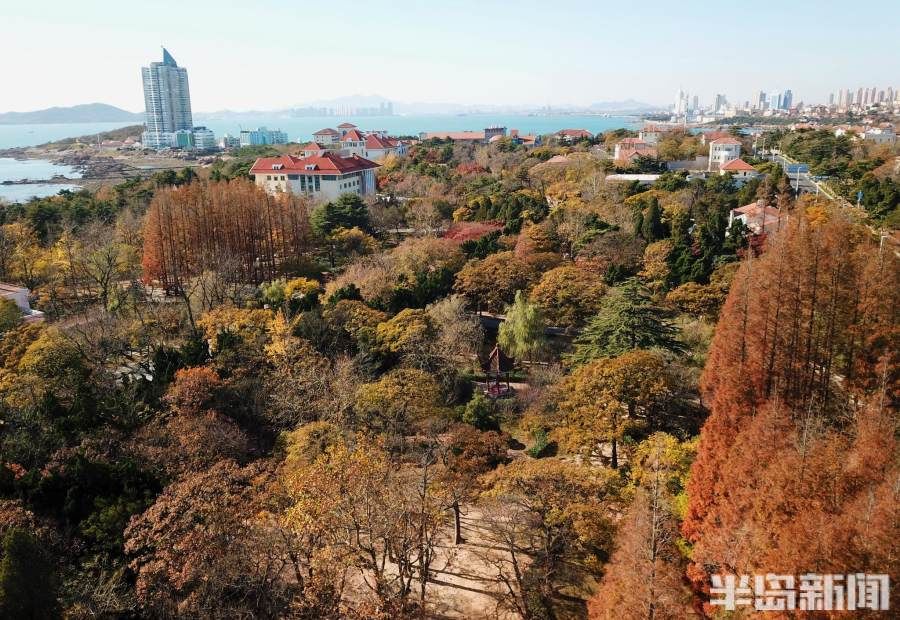 八大关景区|初冬青岛，“颜值”在线！