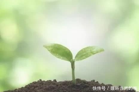 作家|签约作家袁余良/《秋天的怀念》