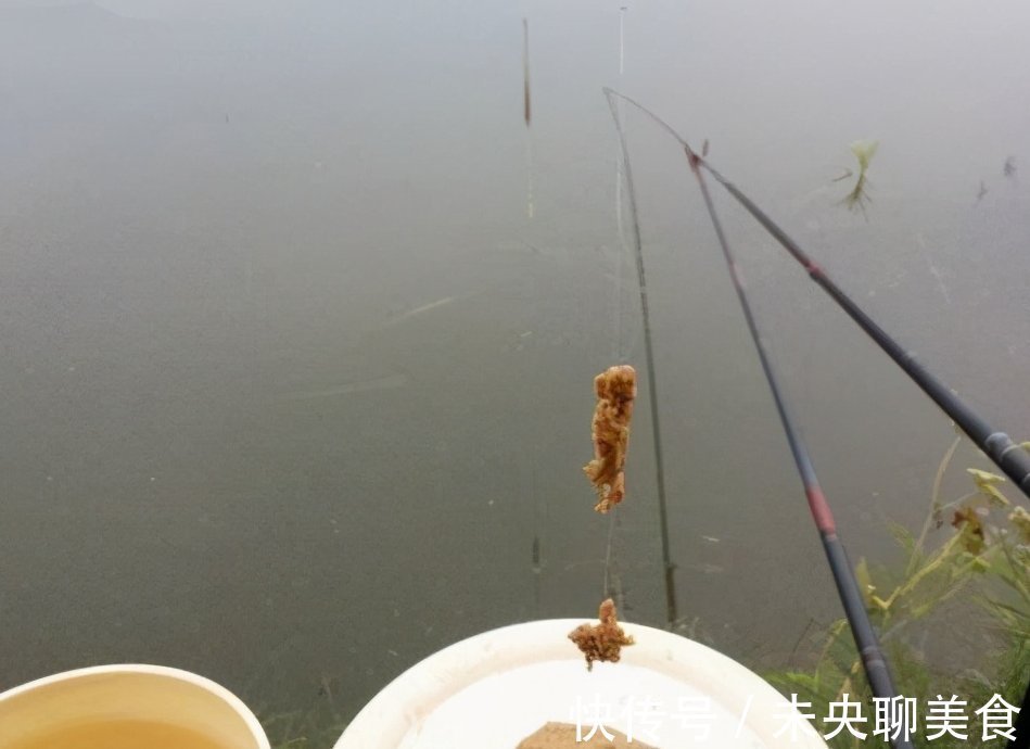 冬季钓鱼饵料有什么技巧？用好这几招，鱼儿排队往这靠