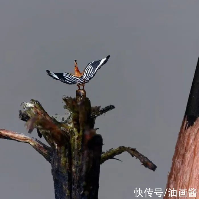 艺术家！小到离谱的微雕艺术，不比较不知道，一比较吓人一跳