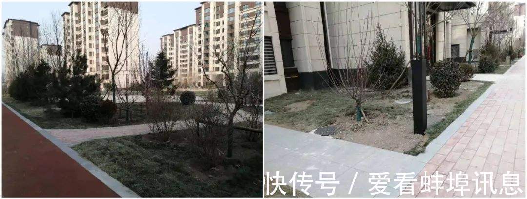 园林|冬季购房关键看哪几个方面?