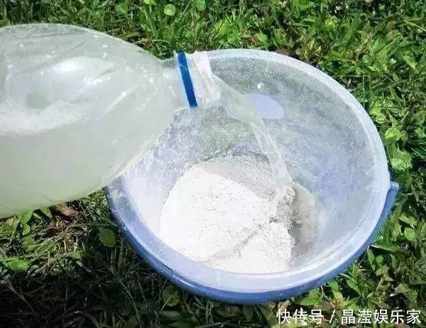 白粉病|给花喷点杀菌水，虫子全杀死，杀菌消毒叶子绿