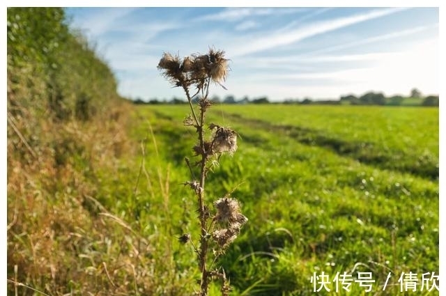 水瓶座|7月，思念难熬，回头再爱，不离不弃，3星座兜兜转转，复合如初