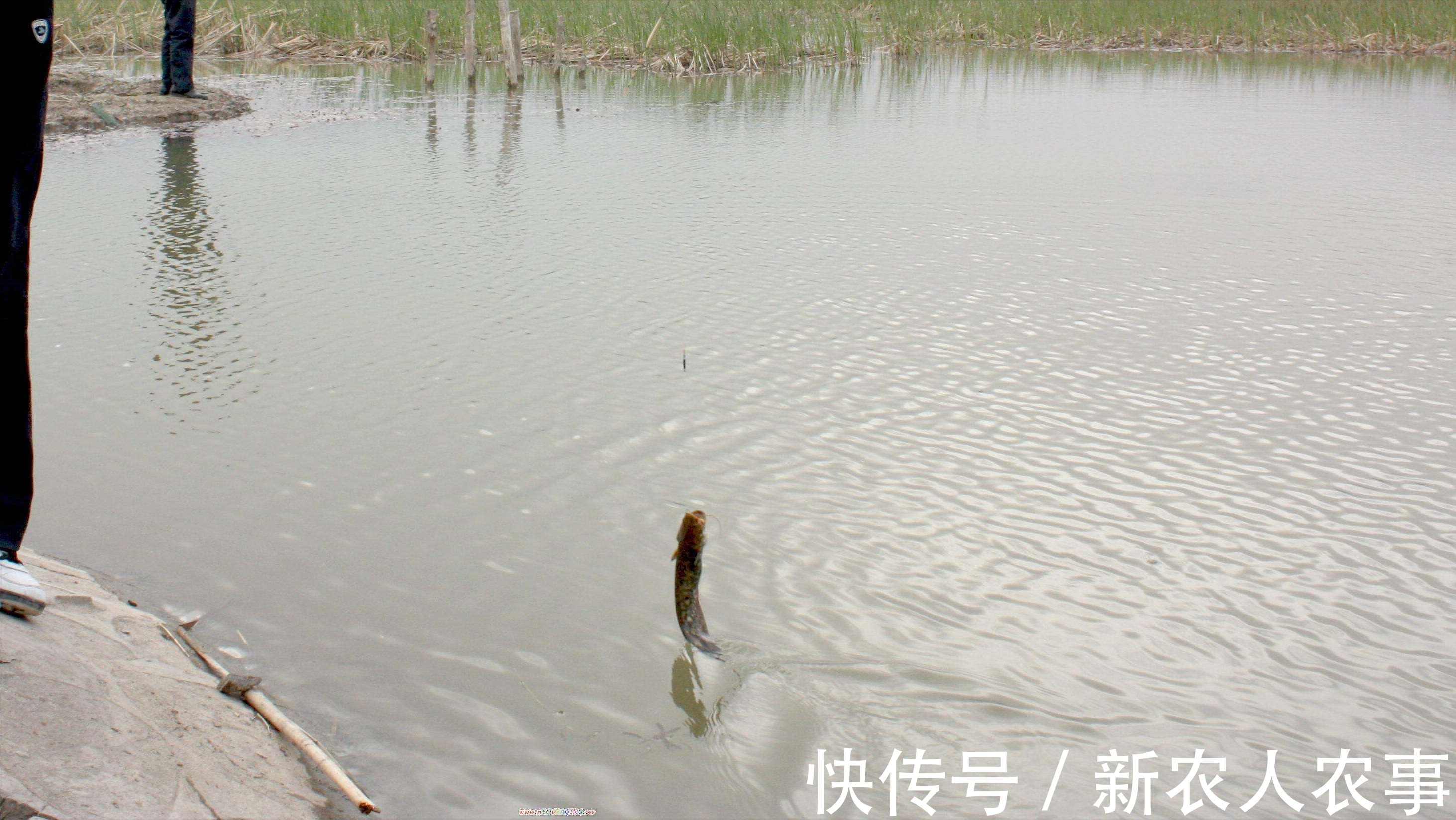 钓了3条鱼要求赔偿五万元,江西3名男子摊上事了,双方都应该反思