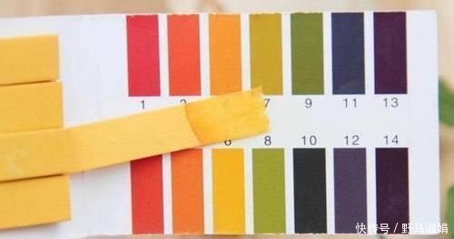 黄叶|想要酸性土养花该怎么弄兑点它们,喜酸植物不再黄叶掉花苞