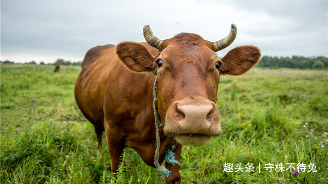 24个冷知识或许也曾知晓，但却没有深入了解的奇怪知识