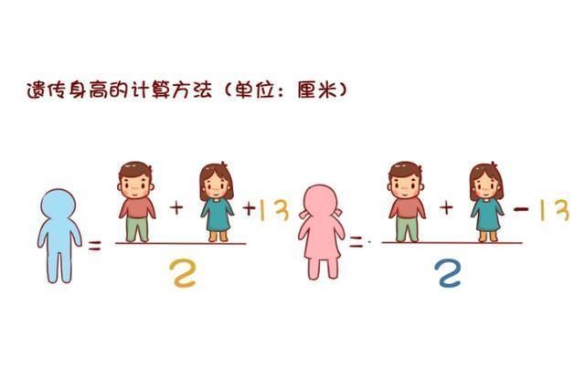 遗传物质|身高是随爸还是随妈抓住2个黄金期做3件事,助宝宝突破遗传