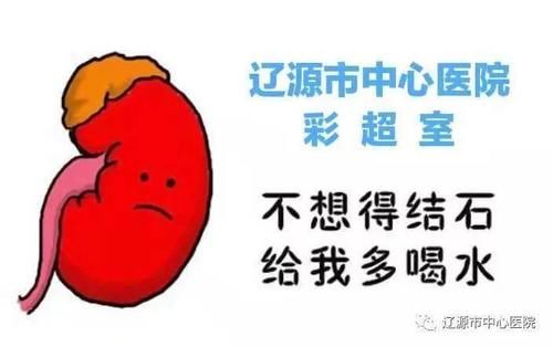超声微课堂7——肾结石与肾结晶的区别与联系
