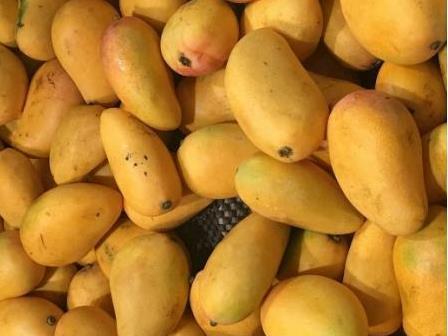 冬病夏治|女人常吃一宝,不感冒了,腰不酸了,远离妇科炎症,子宫越来越好