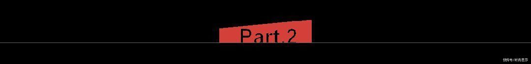 来不及解释了，这份新年抛光指南快收下