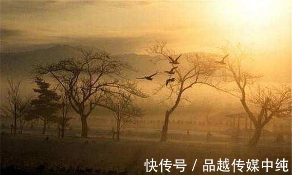 天净沙秋思$《天净沙秋》,媲美马致远《天净沙秋思》的神作,好在哪里?