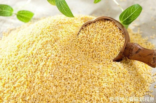 脾胃不健康，湿气也去除不了，常吃5种食物健脾补虚、祛湿气