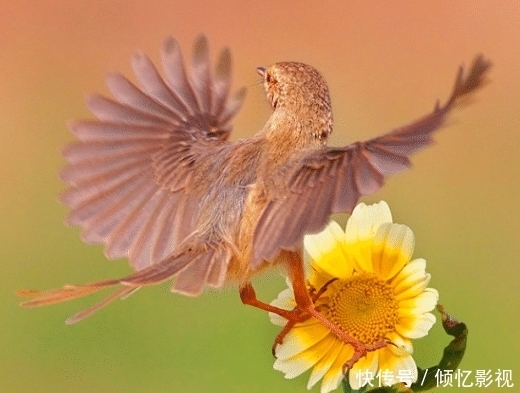 家长能做到这些,孩子不成才也难!