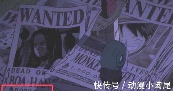 女强人|海贼王:海贼界第三位女强人出现了,至少10亿打底,女帝也才8亿