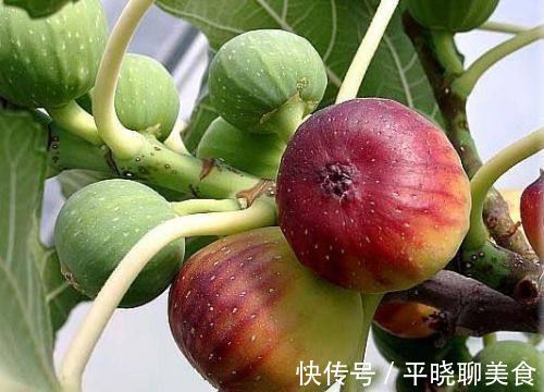 肝脏|肝脏的“大救星”已经出现,常常多吃6种食物,肝毒一点一点少