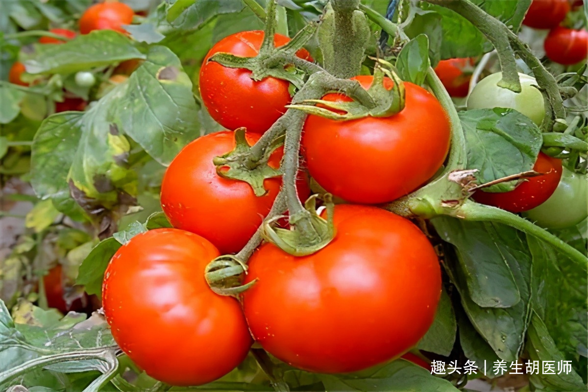 排毒养颜|不想身体变老,适合吃养生食物,缓解便秘,消脂排毒,肌肤更好