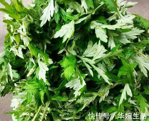 湿气|艾叶加一物，湿气没了，腰不酸，腿不痛，男女可以试试，早知早好
