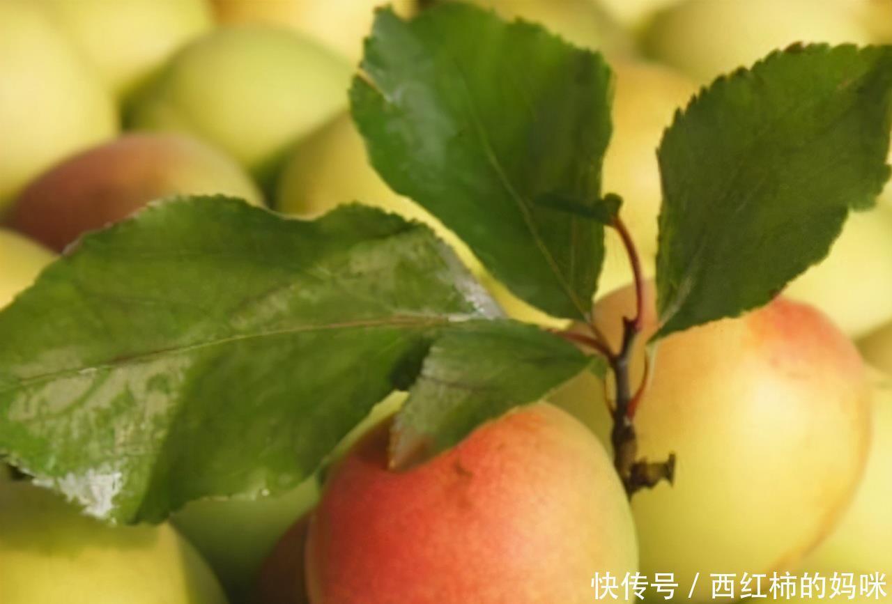 排毒|女人爱美，推荐常吃3种食物，改善肤质，排毒养颜、延缓衰老