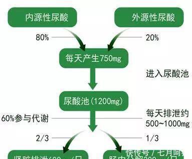 尿酸|尿酸高的人,不妨多吃碱性食物,每天换着吃,痛风绕道走