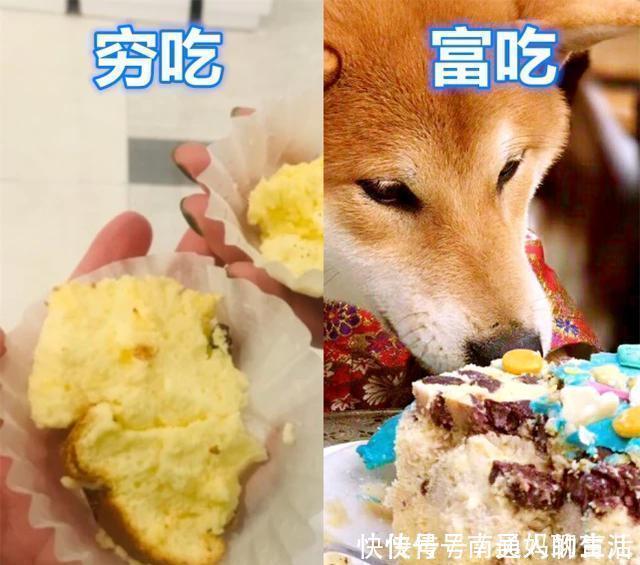 车厘子|有种“差距”叫穷吃VS富吃,蛋糕还好,看到车厘子