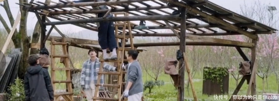 刘晓邑|杨紫蘑菇屋趣事不断,只有一颗咖啡豆,张子枫研究高级喝法