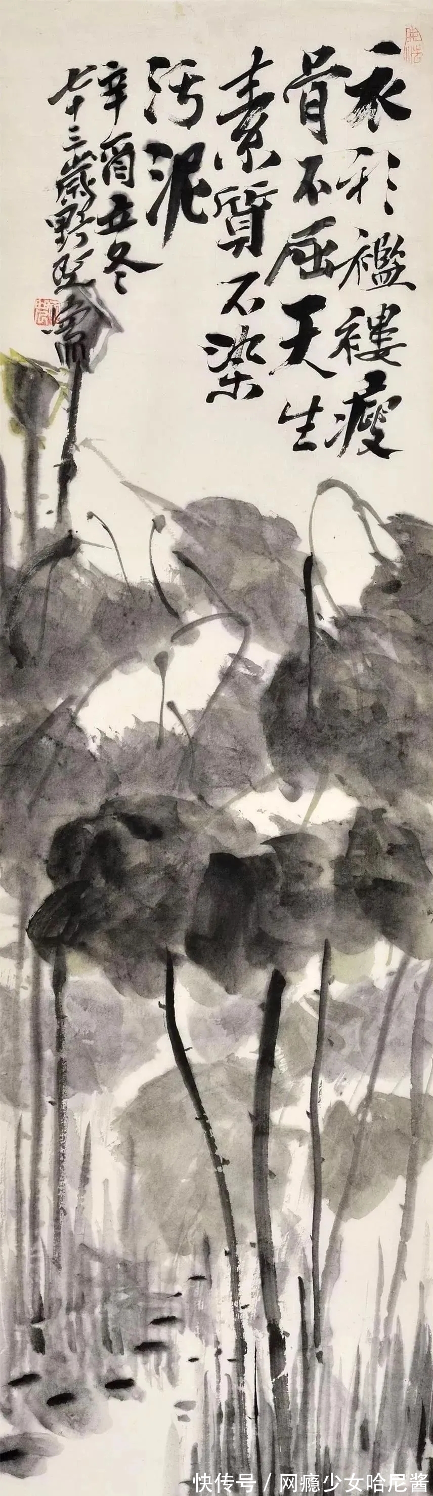 花鸟画@随心所欲、自然天成｜蒋雨浓写意花鸟画