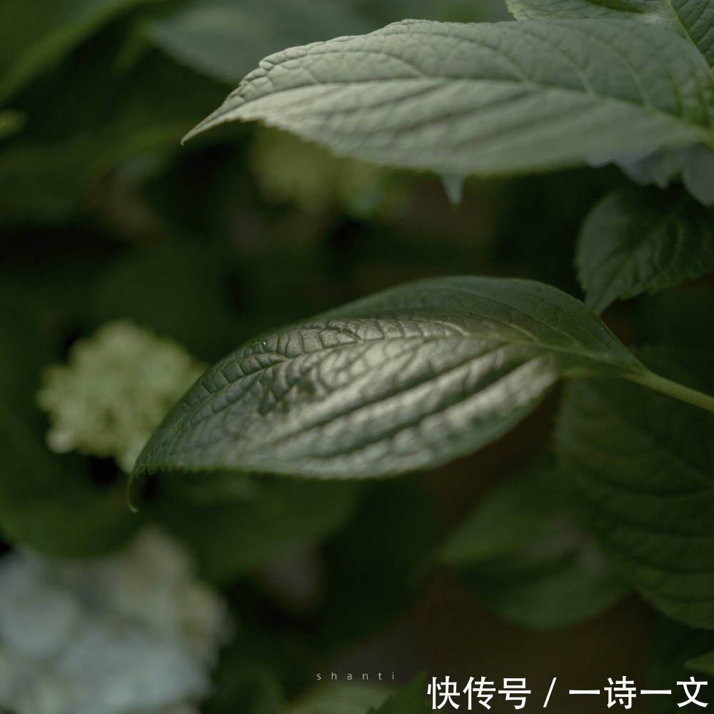 永远|你是我的特例,是我永远的太阳