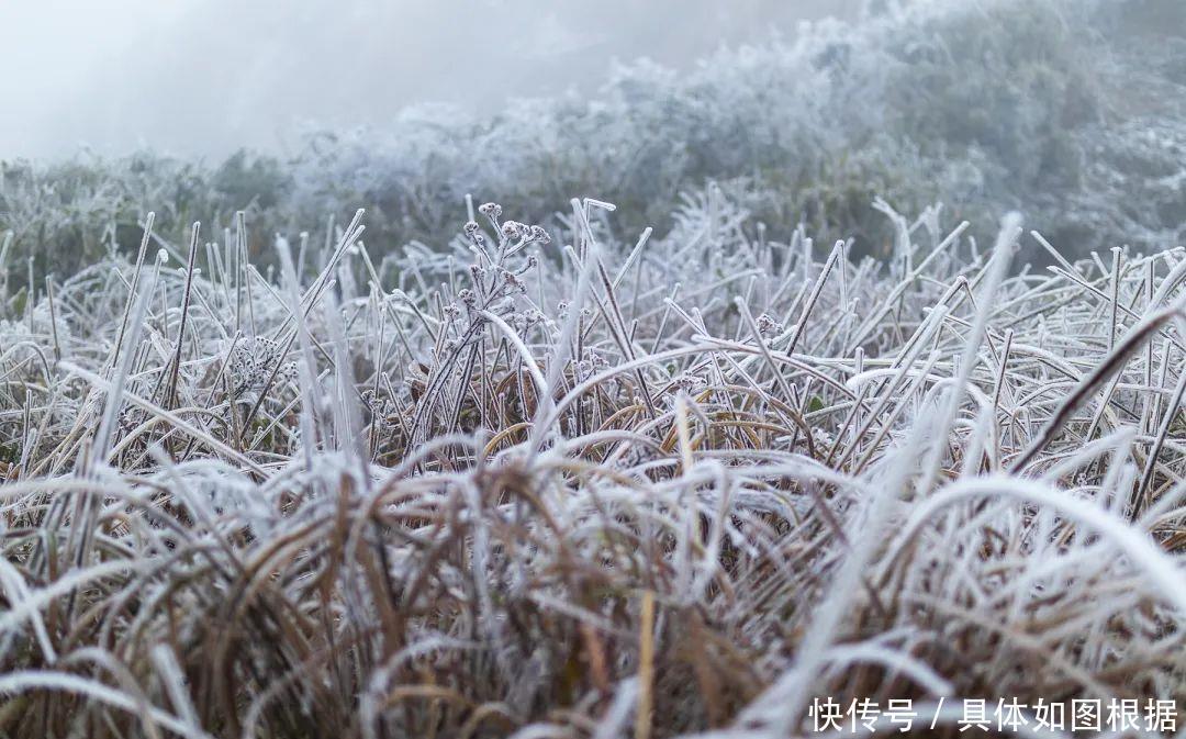 学习强国｜福建武夷山：雪至分水关