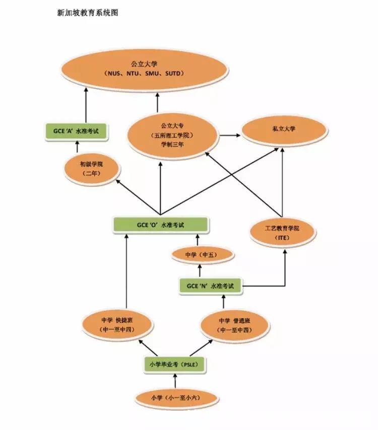 中学必须要了解的新加坡考试——O水准，让你一步高升 ~|新加坡留学 | 预科