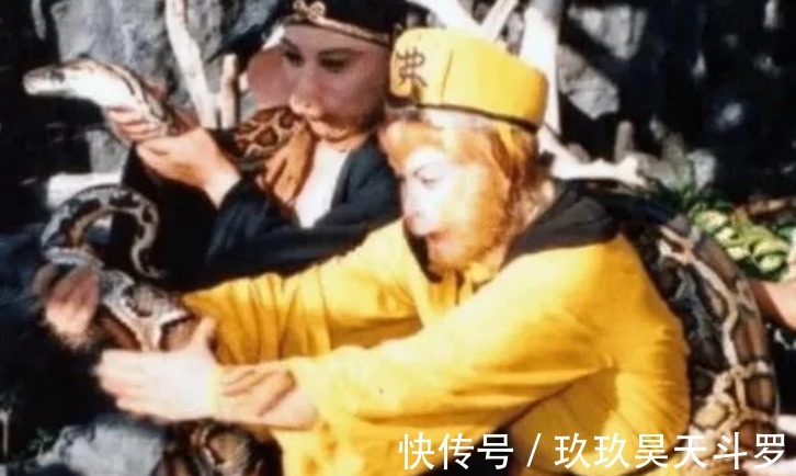 大蟒蛇!还记得《西游记》里的大蟒蛇吗它并不是道具,难怪会成经典佩服