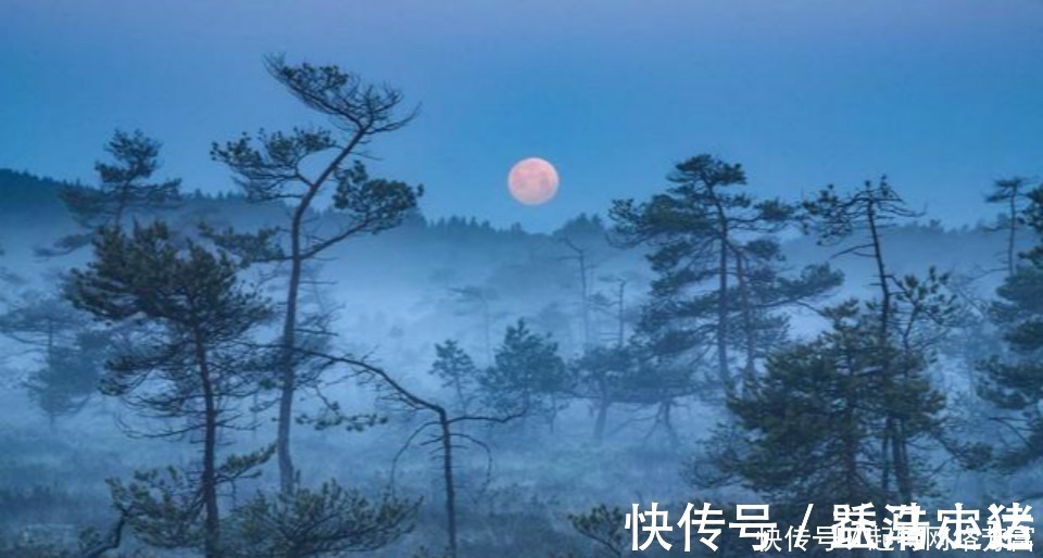 小军官#此人只是一位小军官,却写下一首气势磅礴的诗,读来令人热血沸腾