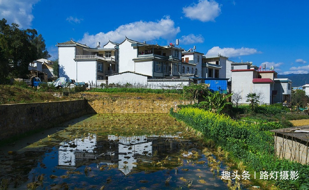 郑营|国内冬天最适合旅游的地方，古镇、赏花、看雪，每一处都别有风情