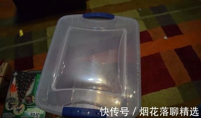 糖果包|来啊相互伤害啊，礼物包装成这样，一看就不是啥正经礼物