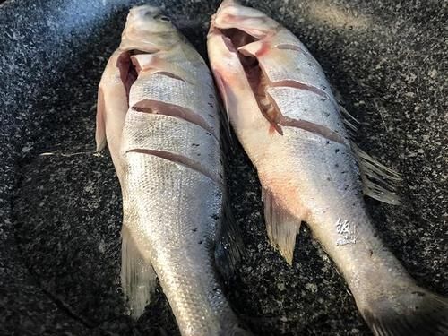 红烧海鱼时,记住“4个1”,做出来的鱼肉没有腥味,鲜嫩好吃