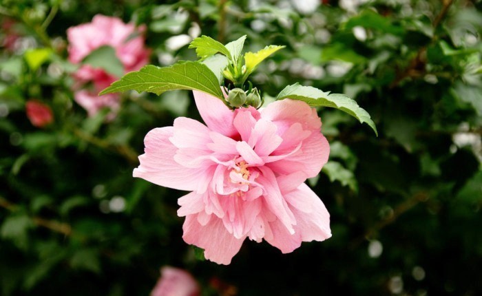 睿智!让人受用一生的句子,深刻睿智,受益匪浅