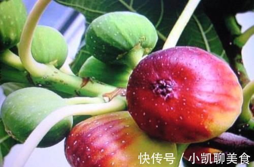 便秘|有了痔疮先别急，多吃这“6宝”，清肠毒，防便秘，痔疮不再来