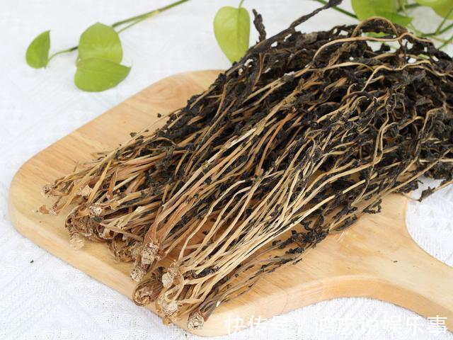 炖肉|这菜不花钱，营养极高，很多人当垃圾扔，晒干了炖肉特香，别浪费