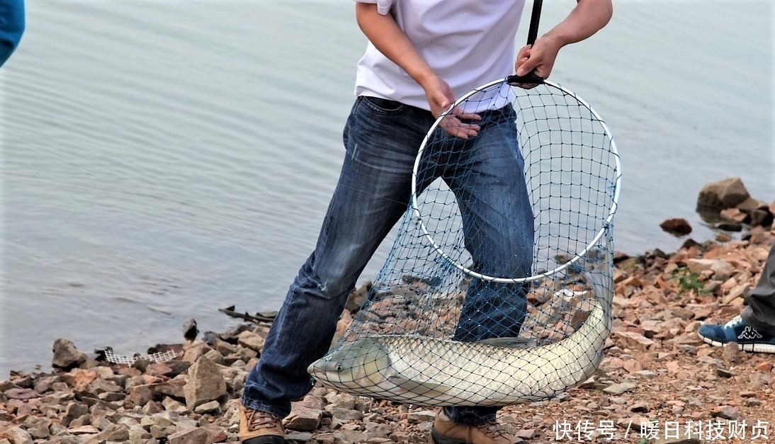 鱼类|夏天下暴雨，水变浑浊怎样钓鱼？注意几个方面细节，大鱼爆竿不停