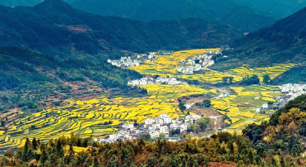 3月婺源踏青，篁岭江岭赏花一日